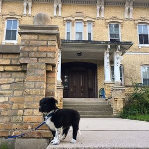 Meet your Posher, Anne